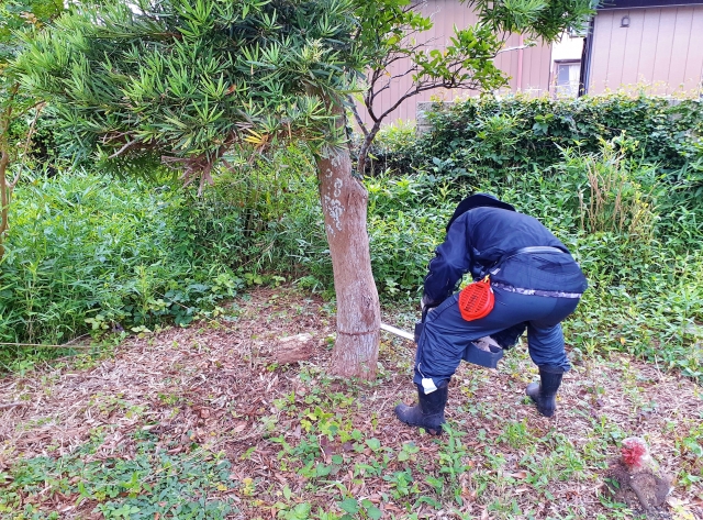 薩摩川内市での丁寧な草刈り・伐採作業の様子