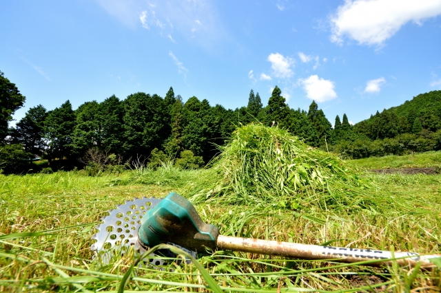 作業後の徹底的な清掃と美しい仕上げ
